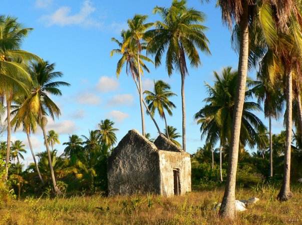 20- Une ruine dans le village abandonne de Tetamanu 